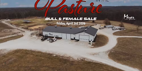 Performance in the Pasture Bull & Female Sale