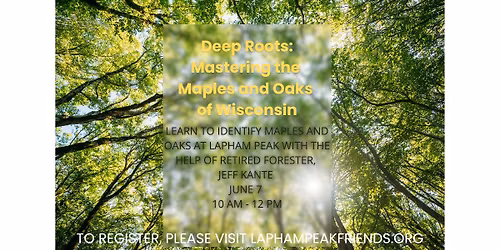 Deep Roots: Mastering the Maples and Oaks of Wisconsin