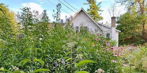 Native Plant Giveaway & Exchange at BEAT\u2019s Rain Garden