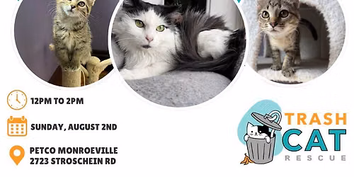 Trash Cat at Petco Monroeville