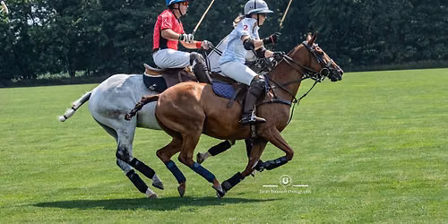 Polo for Hoof & Paw Horse Rescues!