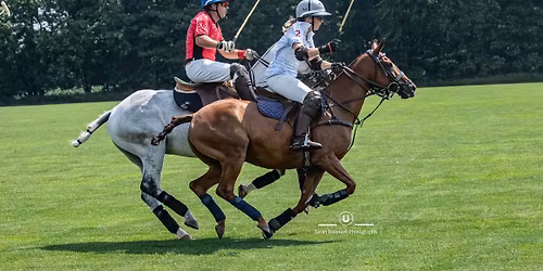 Polo for Hoof & Paw Horse Rescues!
