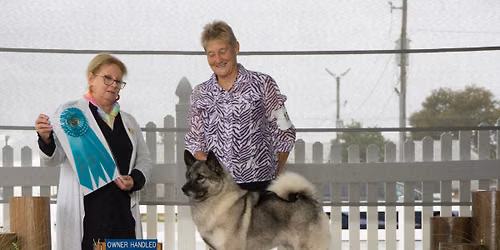 DelMarvelous AKC Breed Cluster Show
