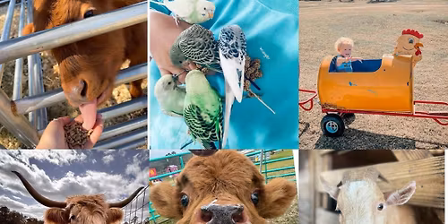 Family Farm Day \ud83d\udc2e\ud83d\udc37\ud83d\udc23\ud83d\udc30