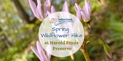 Spring Wildflower Hike at Harold Ennis Preserve