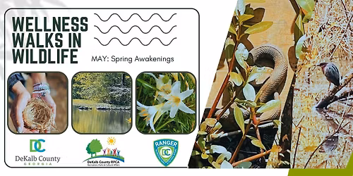 WWiW-GEP: Spring Awakenings ~The Edge of Emergence