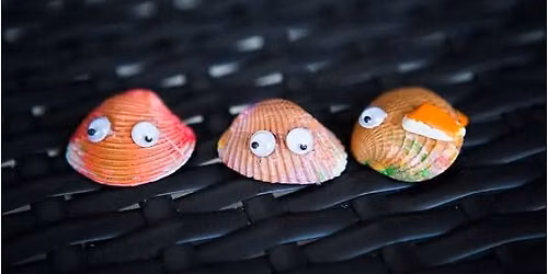 Painting with Sea Shells!