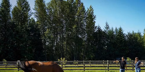 Nettlebed Farm Tour: Livestock Management on a Small Commercial Farm