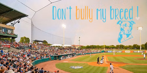 Adoption Day at San Antonio Missions Game