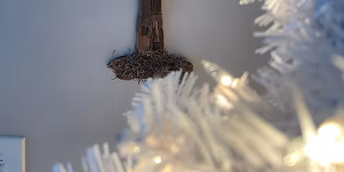 First Christmas Sale