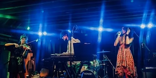 Sunset Vibes - Live Music Ecstatic Dance with Coatimundi