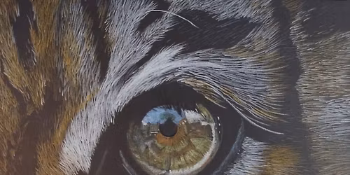 \ud83c\udf89 January First Friday - Illustrate Your New Year