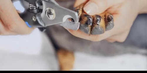 10 dollar nail trims!