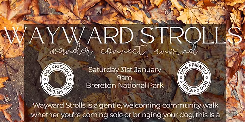 Wayward Strolls - a walk for women (dogs welcome)