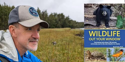 Wildlife Out Your Window with Brad Timm