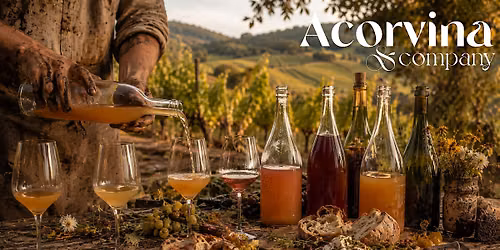 Getting Skin-timate | An Intimate Exploration of Skin Contact Wines