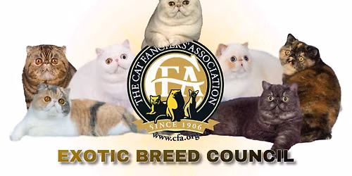 Exotic Breed Council Meeting 
