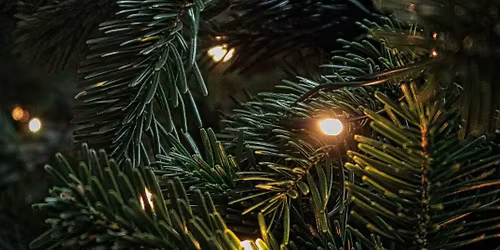 Tree Lighting Celebration