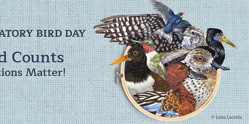 World Migratory Bird Day at Yaquina Head! 