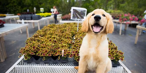 9-26-2026 Pets and Plants