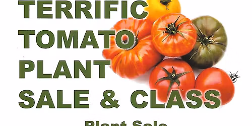 Tomato Plant Sale & Class