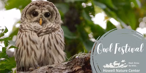 Owl Festival