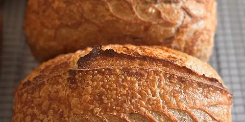 The Art of Sourdough - Beginner Workshop
