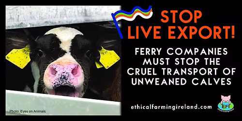 Brittany Ferries Protest