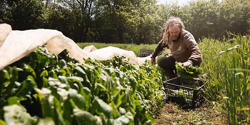 Open Farm Day: Jersey Zoo