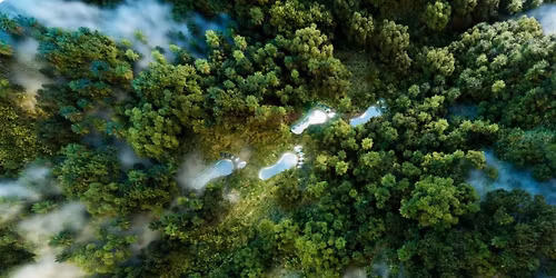 Forest Footprints Xmas party