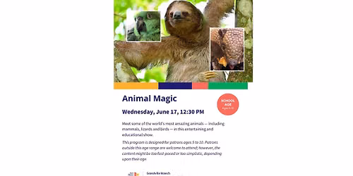 Animal Magic
