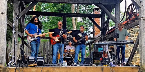 Flock of Eagles at Steelefish Grill