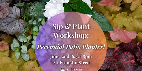 Sip & Plant Workshop: Perennial Patio Planter!