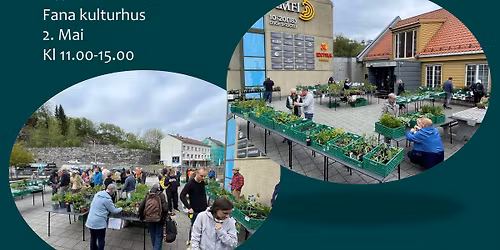 Plantemarked ved Fana kulturhus