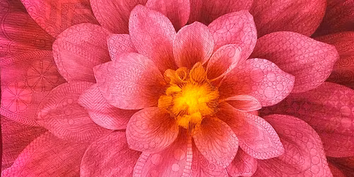 HUSQVARNA VIKING\/PFAFF Embroidery Placement Class: Dream Big Flower Edition