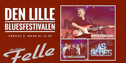 DEN LILLE BLUESFESTIVALEN - FREDAG KL 21.00