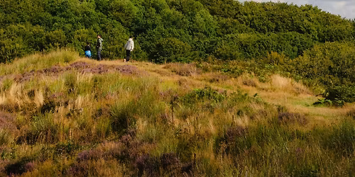 Skovtur med SIND K\u00f8benhavn i Hareskoven