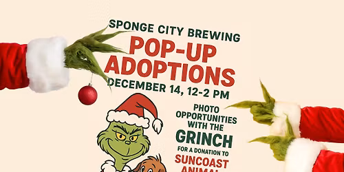 Sponge City Brewing - Pop-up Adoptions