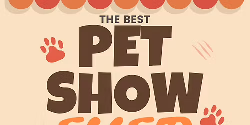 \ud83d\udc36Kindergarten Music Program \ud83d\udc36