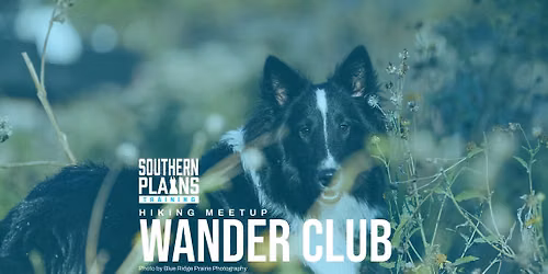 Wander Club - Stay Gold Loop