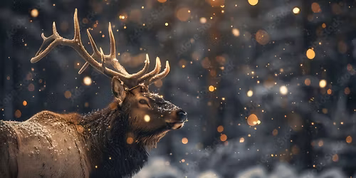 Rock Hill Elks Lodge Christmas Party at the Lake w\/ Live Music by Weekends- Balentine Building