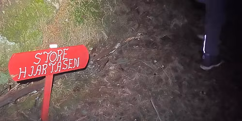 Tur med Barnas Turlag: S\u00f8ndagstur i Hollundsmarka