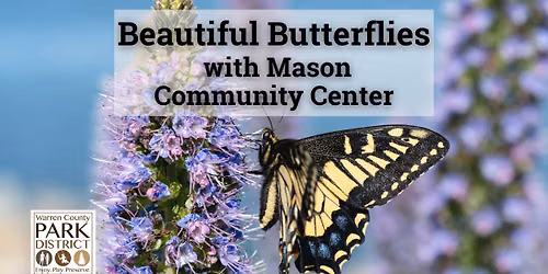 Beautiful Butterflies at Pine Hill Lakes Park with Mason Community Center