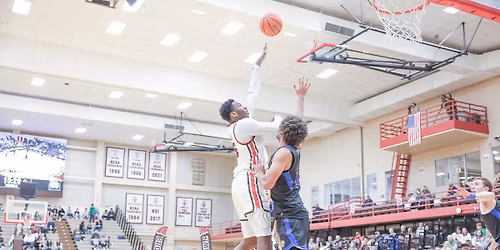 JWU-Providence Wildcats at Brown Bears Mens Basketball