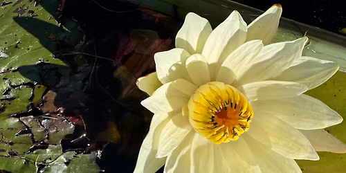 Reiki II Training Class