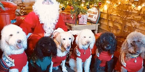Santa Paws Santa Grotto