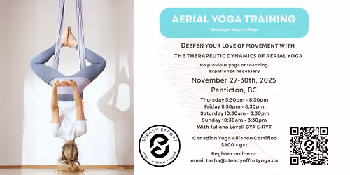 Aerial Yoga Training