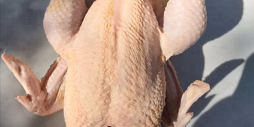 Poultry Processing Clinic