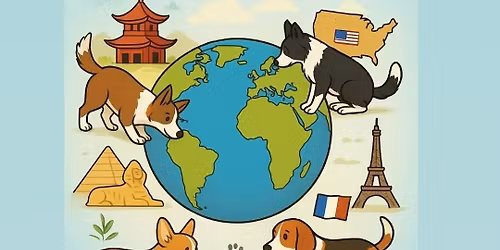 Kontynentalny Nosework czyli psim nosem przez \u015bwiat WIELKI FINA\u0141 