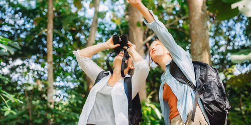 Ranger Guided Bird Walks